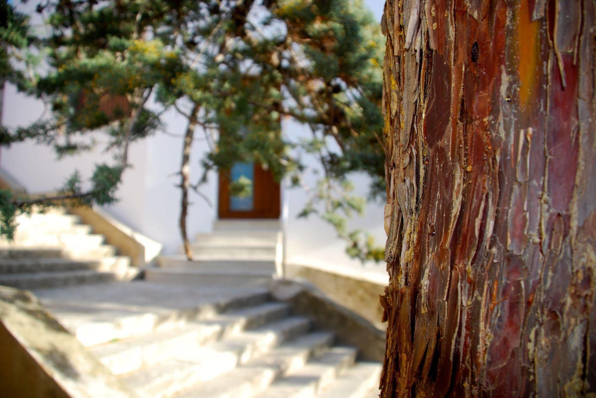 Apartamento Rural Castillo De Yeste 2 Pax (Adults Only) Exterior foto